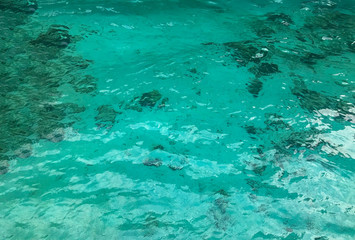 Fototapeta na wymiar clear blue transparent blue sea water backgorund.