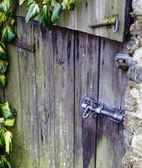 Very old antique iron door lock on old, moss-covered doors
