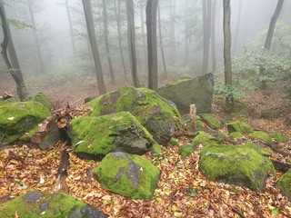 Nebel beim Hexen Ritualplatz der Magnetsteine im Odenwald