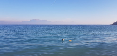 Lago di garda
