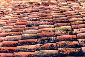 Carso Triestino (Prepotto, Trieste)