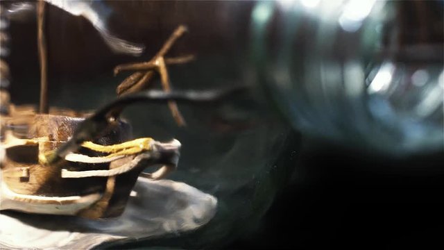 Hand Painting Miniature Wooden Ship Through Bottle Neck, Artisan Finishing Work - Close Up