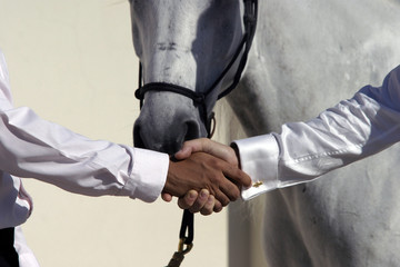 handshake in front of a horse