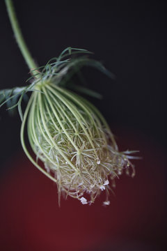 a11