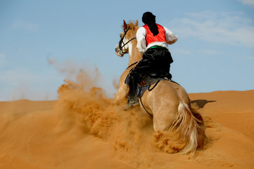 desert stunt riding