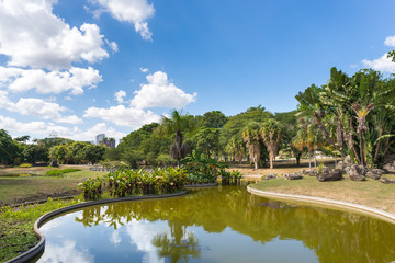 Fototapeta na wymiar Beautiful Lake at East Park in Caracas