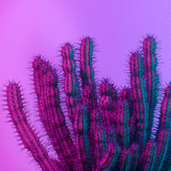 Neon cactus. Cactus minimal art. Cactus fashion concept