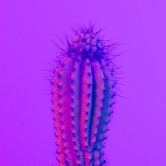 Neon purple cactus. Cactus minimal art. Cactus fashion concept