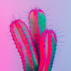 Neon creative cactus. Cactus minimal design. Cactus fashion idea