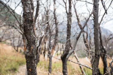 Trekking the Patagonian mountain range in Torres del Paine National Park Chile