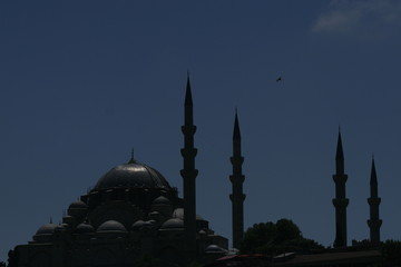 Obraz premium blue mosque in istanbul