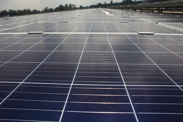 Large scale solar panel farm