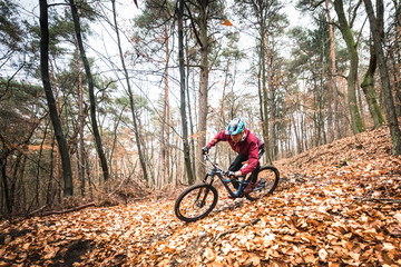 Sport extrême vtt de descente dans les bois en automne