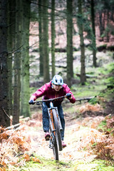 Sport extrême vtt de descente dans les bois en automne