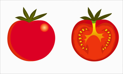 tomatoes vector