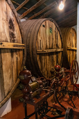 old wine barrels, Cafayate, Salta, Argentina
