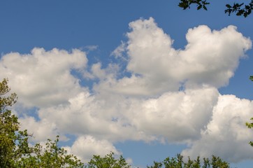 Sfondo con cielo e nuvole e in una piccola cornice di vegetazione