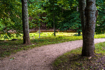Fototapeta premium Colorful Photo of the Road in a Park, Between Woods