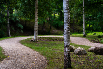 Colorful Photo of the Road in a Park, Between Woods - Sunny Autumn day