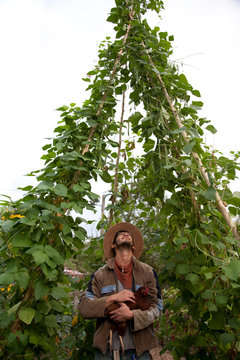 Farmer looking at crop