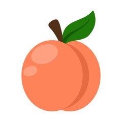 Peach Illustration - Peach with stem and leaf isolated on white background