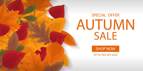 Autumn sale banner template with lettering. Background layout decorate with red, yellow and brown leaves for shop. Modern realistic design. Beautiful wallpaper. Flat style vector illustration.