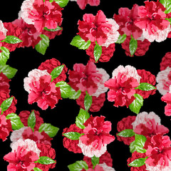 Beautiful floral background of Chinese rose and carnation 