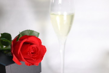 赤い薔薇の花とシャンパンのグラス(白背景)	