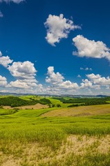 Obraz premium Bellissimo paesaggio naturale delle Crete Senesi in Toscana, Italia