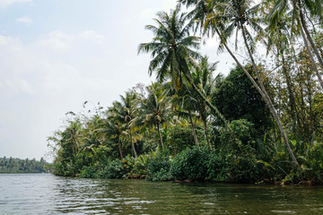 River Kong cutting through the dense jungle.