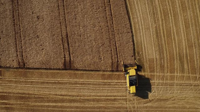 Aerial of a yellow combine harvester in a beautiful golden wheat field as it harvests on a bright sunny day in bavaria germany 