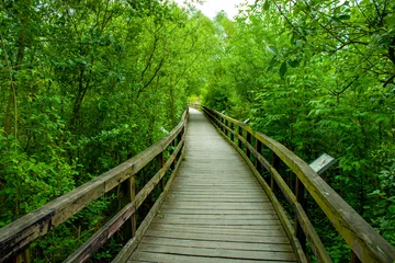 Acrylic prints Der Weg ist das Ziel