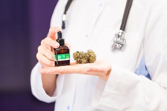 Medical Marijuana In The Hand Of A Doctor. Cannabis Oil Cbd Alternative Medicine