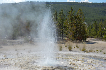 Geyser erupting in Yellowstone National Park