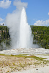 Geyser erupting in Yellowstone National Park