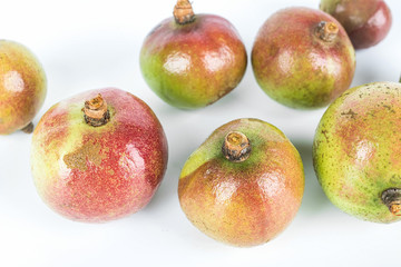 Camellia seed/plant edible oil background material