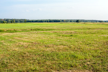 Country summer landscape