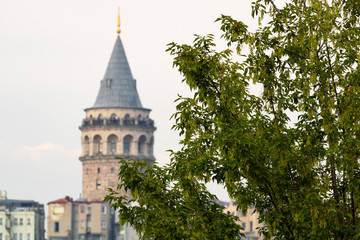 Fototapeta na wymiar Galata Tower and Tree