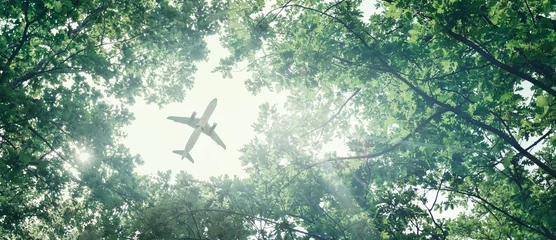 Poster Milieuvriendelijk luchtvervoersconcept. Het vliegtuig vliegt in de lucht tegen de achtergrond van groene bomen. Milieuvervuiling. Schadelijke emissies © tinyakov