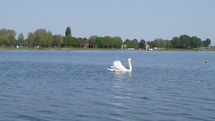 wasser
