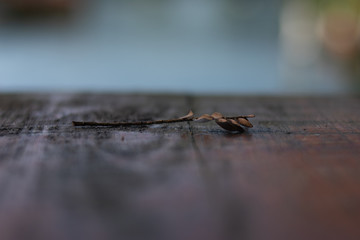 natura © jonatan