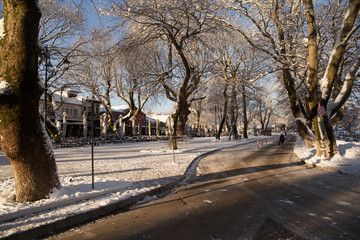 snow ice winter season trees road in Ioannina city Greece