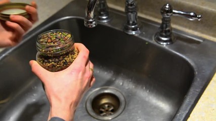 Girl preparing sprouts. Close up of woman's hands putting water in a jar full of of seeds to make sprouts, above the sink - fixed angle - Powered by Adobe