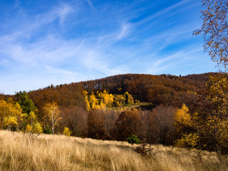 Beskids Mountains in Autumn. Jaworzyna Range nearby Piwniczna-Zdroj, Poland.