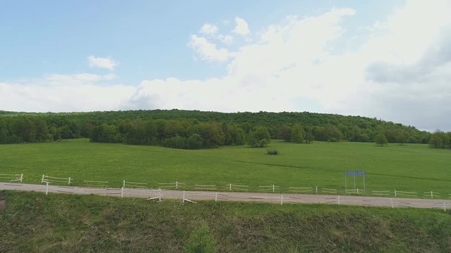 top view of the meadow in the forest with planting trees, aerial photography with drone on the forest