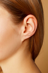 Detail of the head with female human ear and hair close up - obrazy, fototapety, plakaty