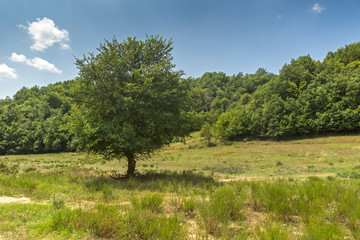 Summer Landscape near village of Zlatolist and Melnik sand pyramids, Pirin Mountain, Blagoevgrad Region, Bulgaria