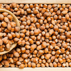 Hazelnuts close-up shot from above