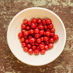Wicked basket with fresh picked cherry tomatoes