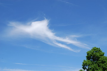 Wolke